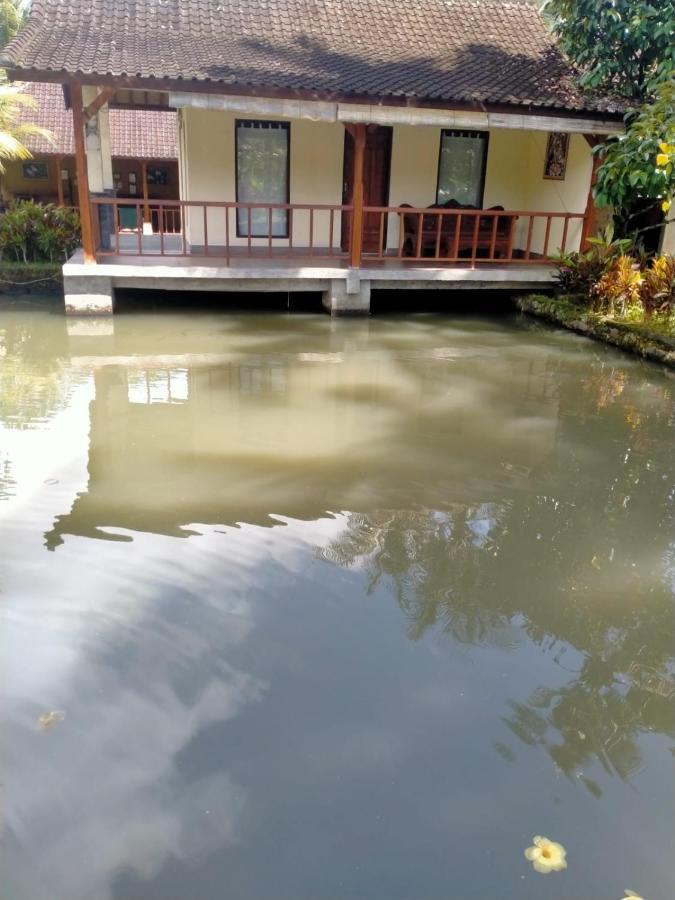 Villa Uma Ayu Sidemen سيديمين المظهر الخارجي الصورة