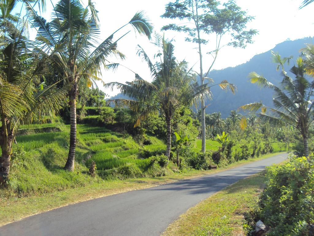 Villa Uma Ayu Sidemen سيديمين المظهر الخارجي الصورة