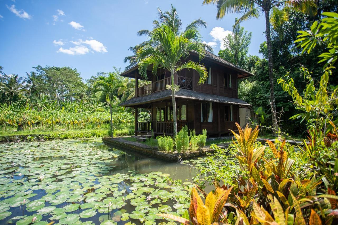 Villa Uma Ayu Sidemen سيديمين المظهر الخارجي الصورة
