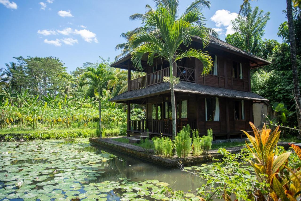 Villa Uma Ayu Sidemen سيديمين المظهر الخارجي الصورة