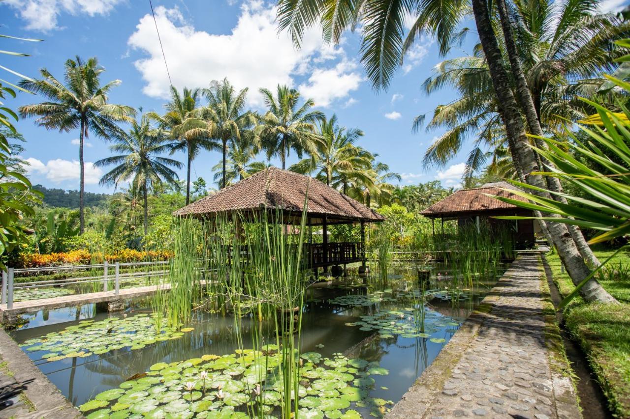 Villa Uma Ayu Sidemen سيديمين المظهر الخارجي الصورة